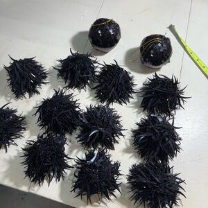 Source Unknown Black Decorative Ornaments Rare and very Unique!